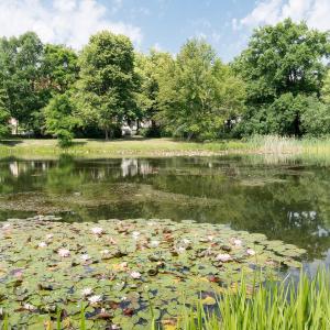 Arthur Brettschneider Park