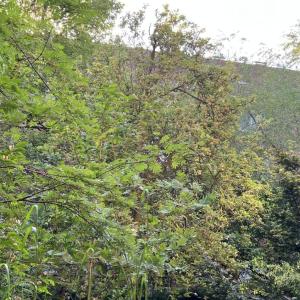 ab 40 und ohne falsche Scham
