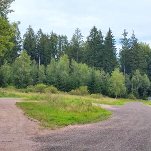 Waldaussicht A71 zwischen Zella-Mehlis und Suhl