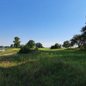 An der Elbe,  Spaß haben, sehen, zeigen, mitmachen