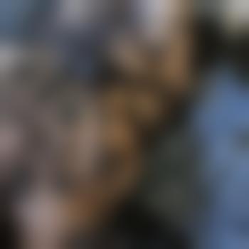 GeilesVersautesBiPaa