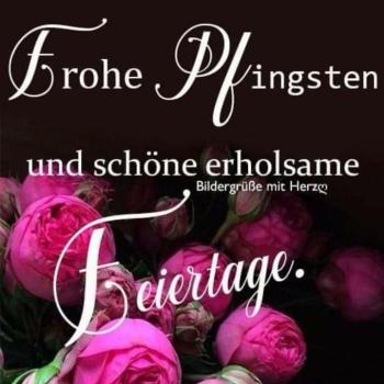 MarkUsCOE-3782