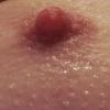 liebeslurch
