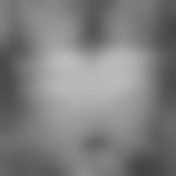 Schmeisser159