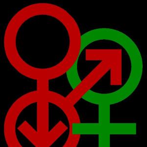 MMF/Bukakke  Main Kinzig