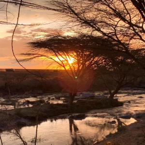 Campen/Camping FKK Sex Spaß Gemeinschaft 