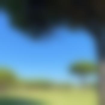 Buncol