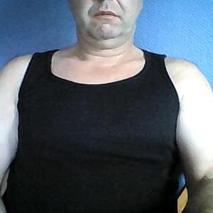 Cock004