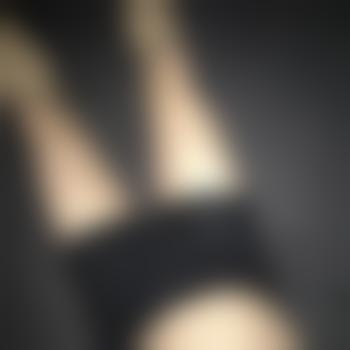 Frank-1800