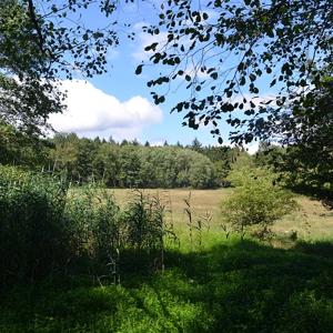 Hinter der alten Mülldeponie