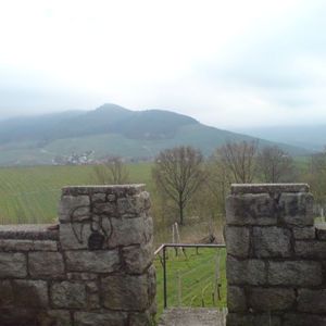 Aussichtsturm ( Bilder )