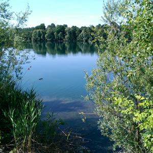 FKK Köln Kiesgrube Gremberghoven  (Alberti See)