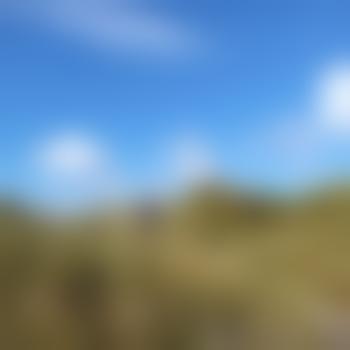 Erare