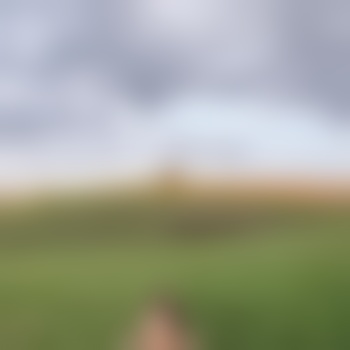 Dev_0_tion