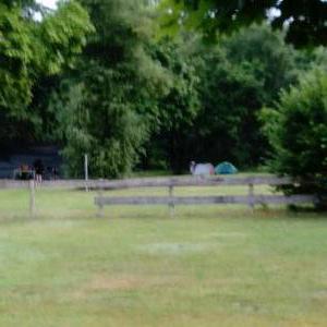 Schnelldorf am Erlensee