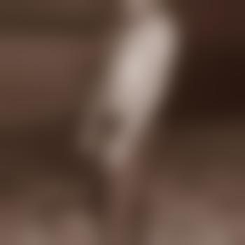 Barney_11