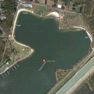 Tankumsee