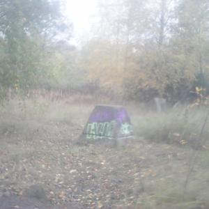 Licherfelde-Süd Grenzstreifen /Kirschblütenallee