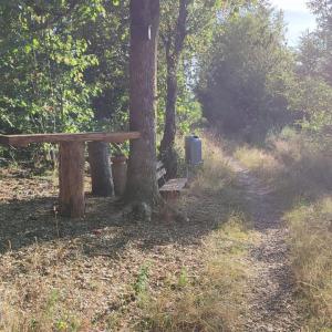 Schönes Wald Plätzchen