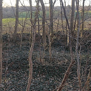 Rastplatz Petershöhe