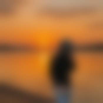 Velvet__Switch