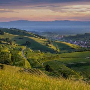 Spontanes treffen Freiburg