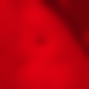 Lustmolch-4887