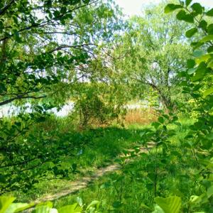 Luthersee bei Stotternheim für FKK und mehr