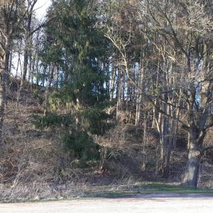 Parkplatz Fels Kall
