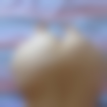 Lustaufneues25