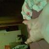 poppnasse