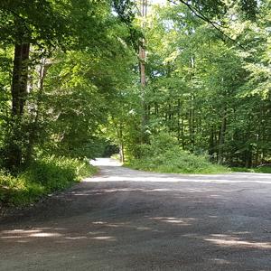 Waldparkplatz im Viernheimer Wald