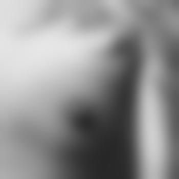 Nibbles69