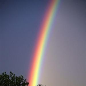 Gays&Bi Dating Kreis Steinfurt/Borken