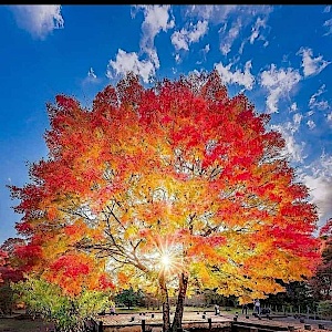 Tagesausflüge mit Happy End