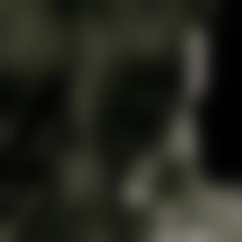 abenteuer_sex