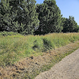 Altwarmbüchener See