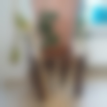 Stellungsnahme6969