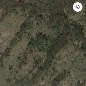 Naturschutzgebiet Höltigbaum