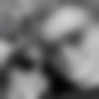 DominantWifesharer