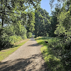 Altwarmbüchener See