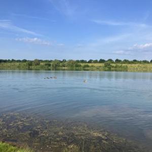 Bergwerksee Weckesheim