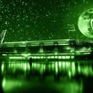 Werder Bremen Lebenslang Grün Weiss