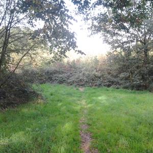 Autobahn Parkplatz Katzenbacher Höhe  A 62