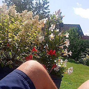 Zauberklaus