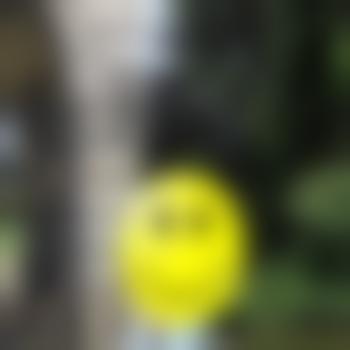 DerFotografmg