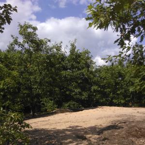 Parkplatz  A67 Darmstadt-Mannheim nach Raststätte