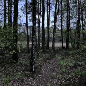 Mittellandkanal Mettingen