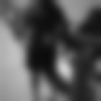 Jorge11