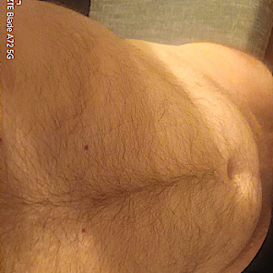 gebunden36